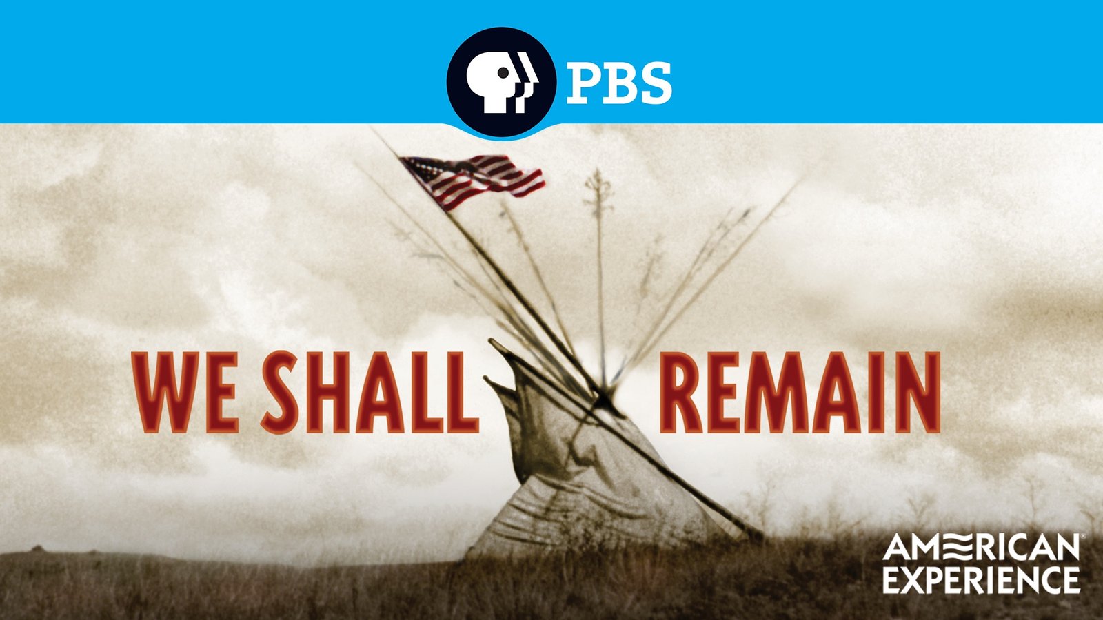 1a3a661e-012e-4045-ae6a-aacaaaa45d49 We Shall Remain