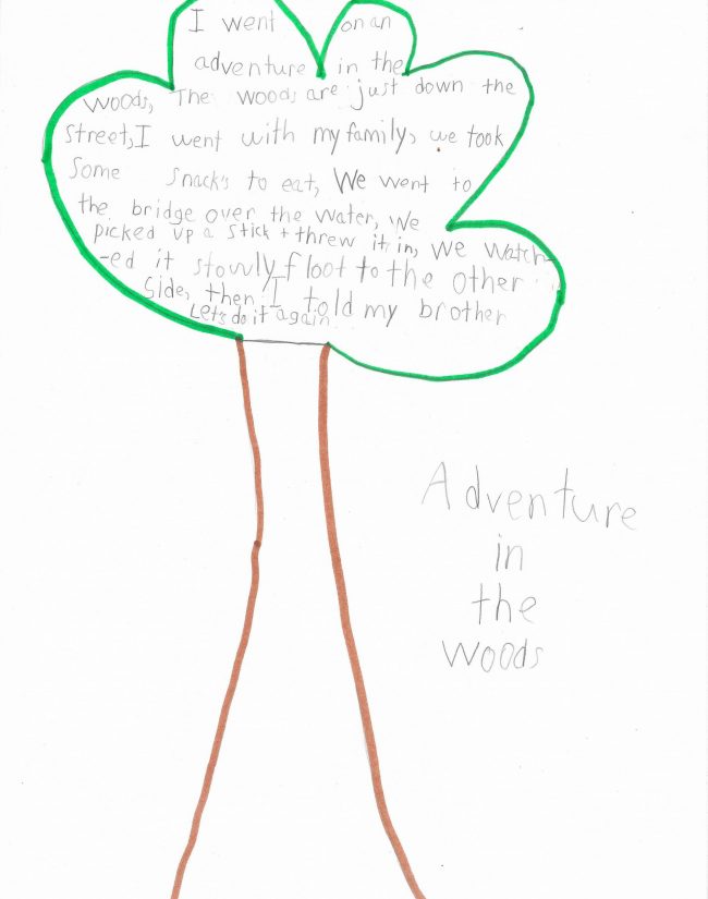 1st Grade Honorable Mention - John Binelli, Adventure in the Woods