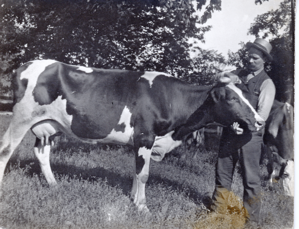 Link Sheldon and Cow