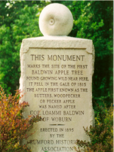 The Baldwin Apple Monument