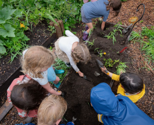 Seed Saving with Landsake