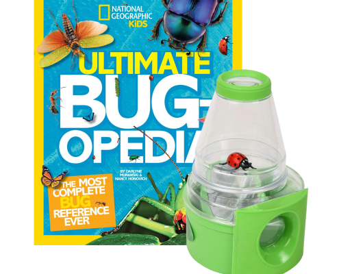 National Geographic Kids Ultimate Bugopedia book with colorful bugs on the cover and a green bug viewer containing a toy ladybug in front.